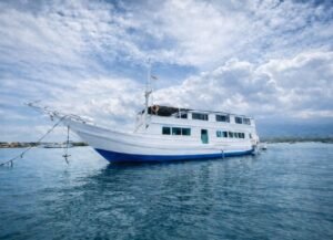 Standard boat komodo tour