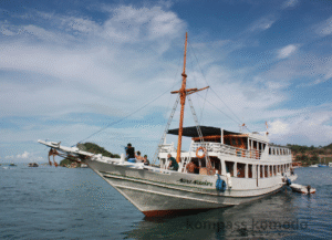 Wanua Adventure, komodo