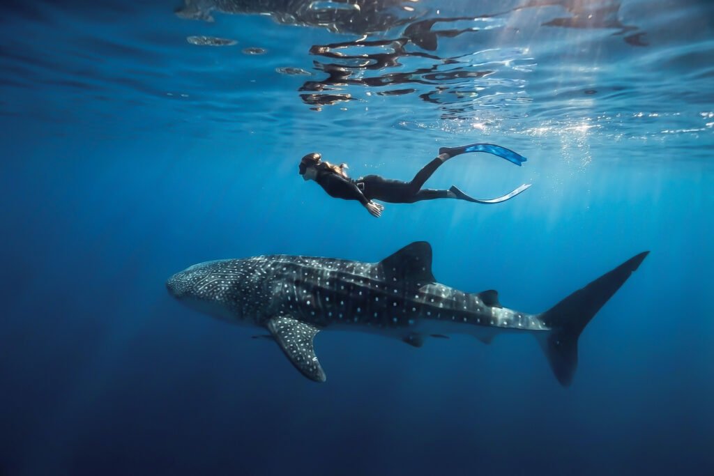 Komodo Trip from Lombok liveaboard sailing across Sumbawa