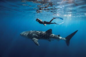 Komodo Trip from Lombok liveaboard sailing across Sumbawa