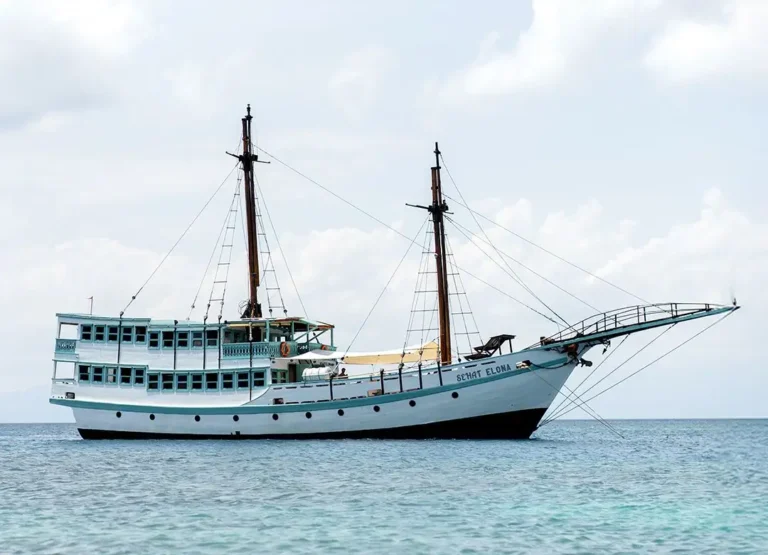 Sehat Elona komodo luxury cruise