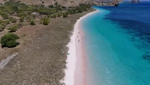 pink-beach-komodo-feature