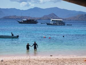 pink bech komodo national park