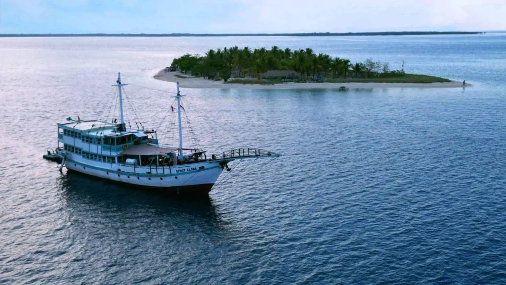 Sehat Elona Luxury Cruise