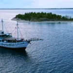 Sehat Elona Luxury Cruise