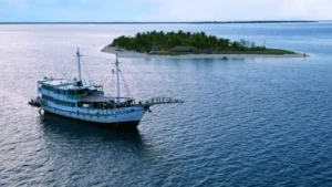 Sehat Elona Luxury Cruise