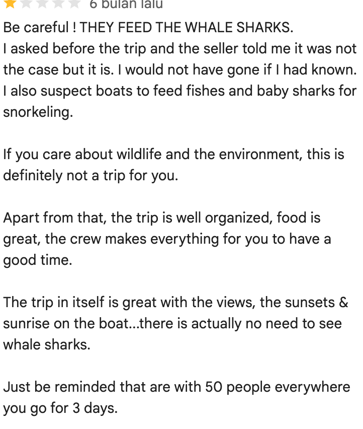 Komodo tour from lombok