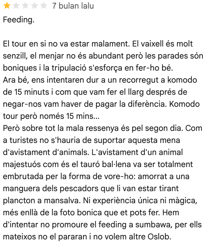 Komodo tour from lombok