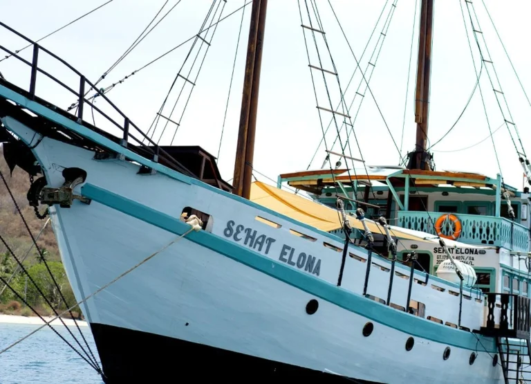 Sehat Elona Luxury Komodo Cruise