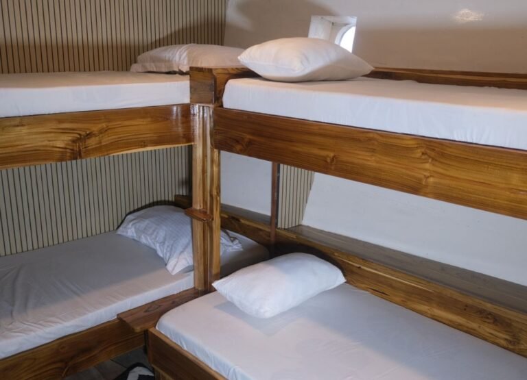 doolpin room geotag2