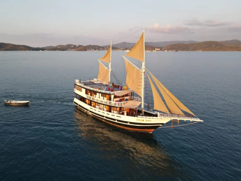 Komodo tour from lombok